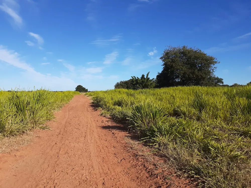 Fazenda, 2190 hectares - Foto 3