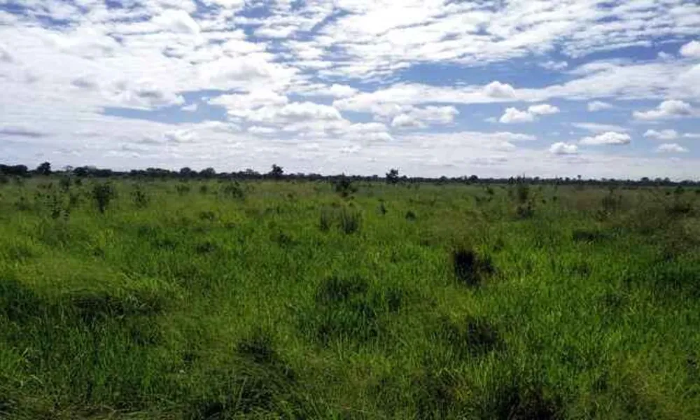 Fazenda, 2190 hectares - Foto 2