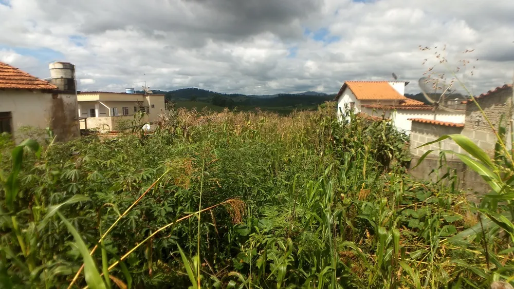 Terreno, 220 m² - Foto 2