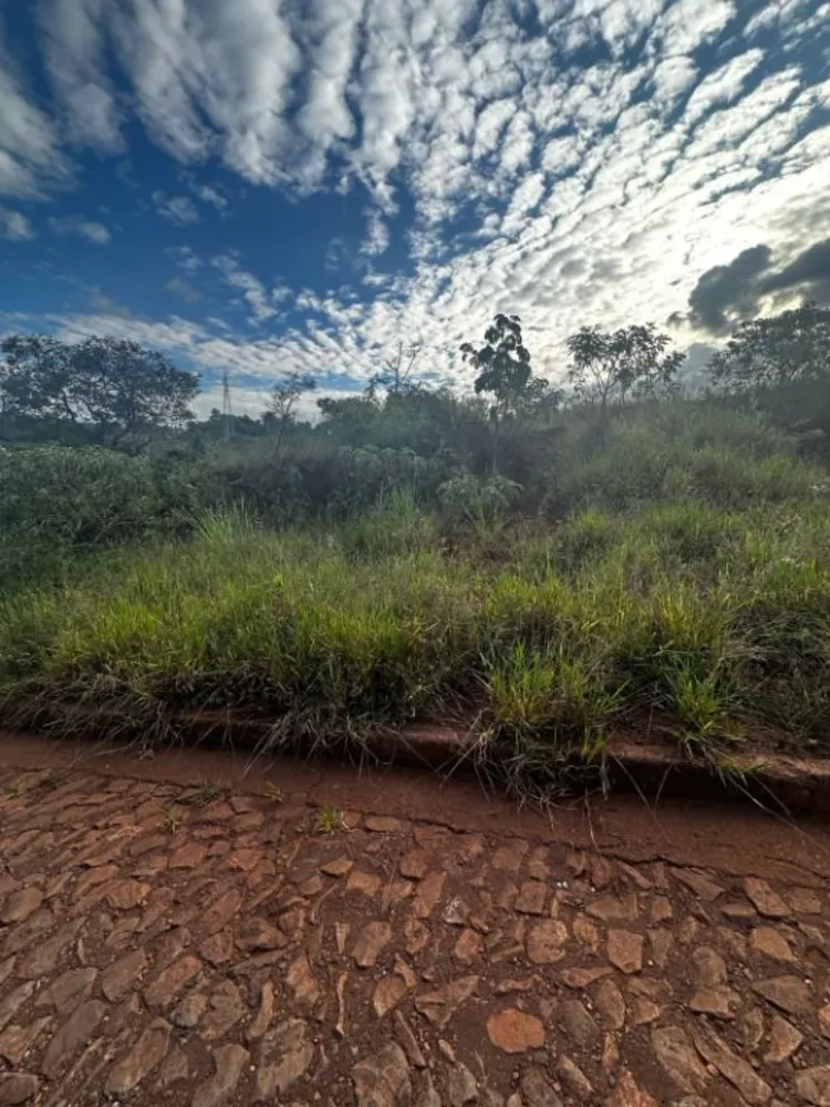 Terreno - Foto 6