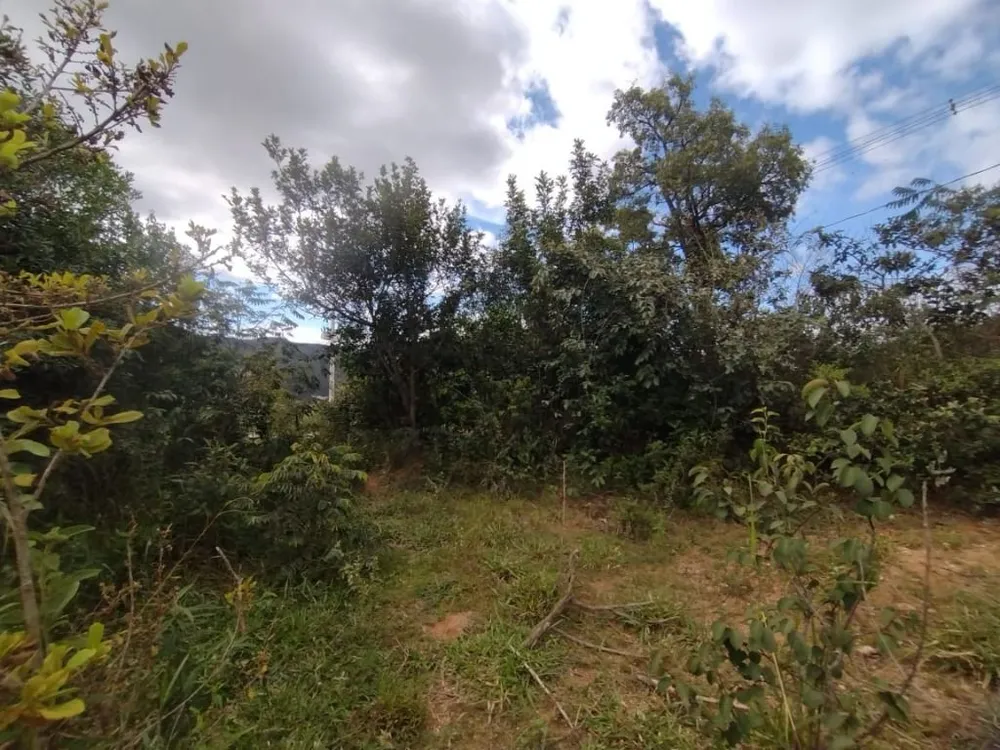 Terreno - Foto 12