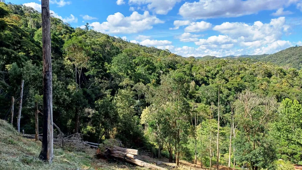 Terreno, 5000 m² - Foto 4