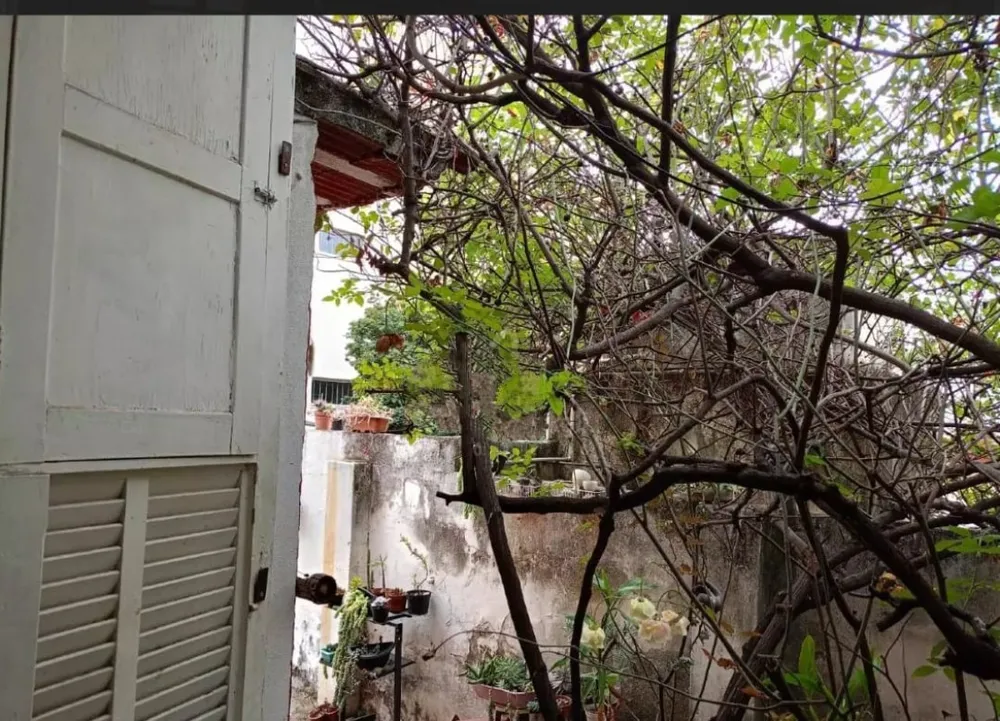 Terreno, 360 m² - Foto 4