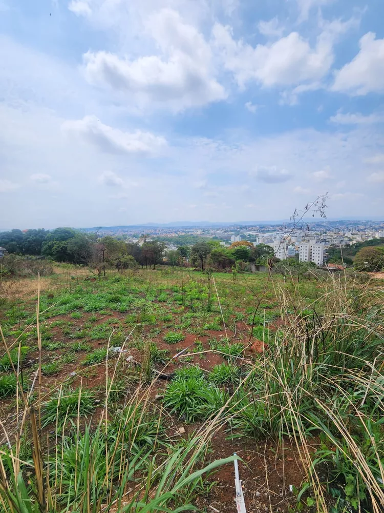 Terreno à venda - Foto 4