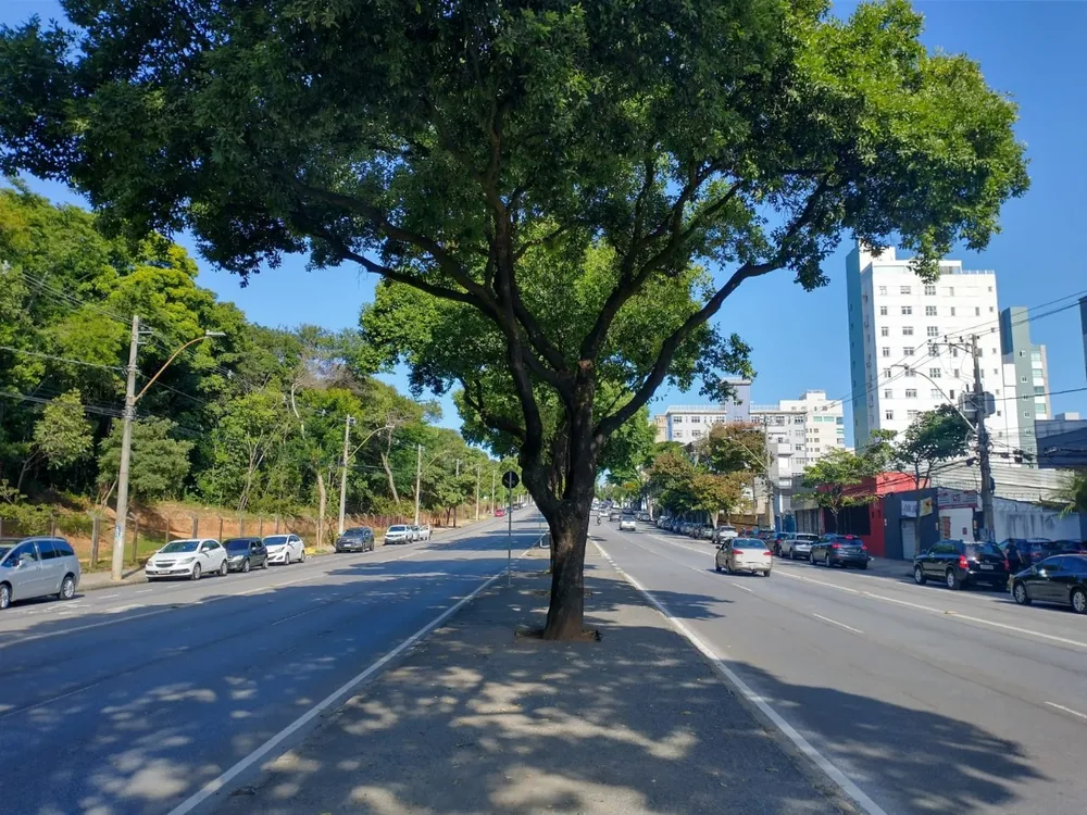 Sala-Conjunto, 42 m² - Foto 12