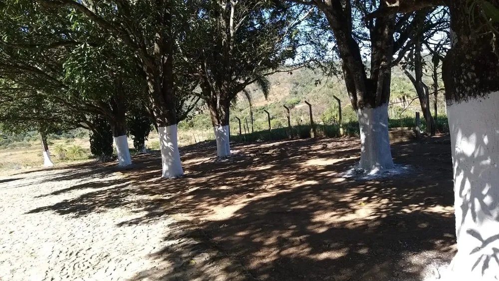 Chácara, 4 quartos - Foto 19