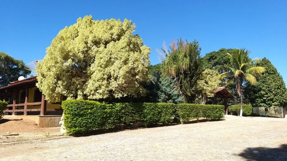 Sítio, 4 quartos, 106684 m² - Foto 23