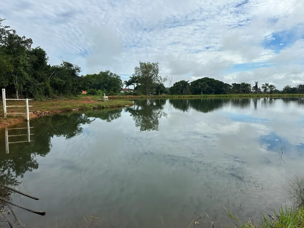 Fazenda, 1800 hectares - Foto 8