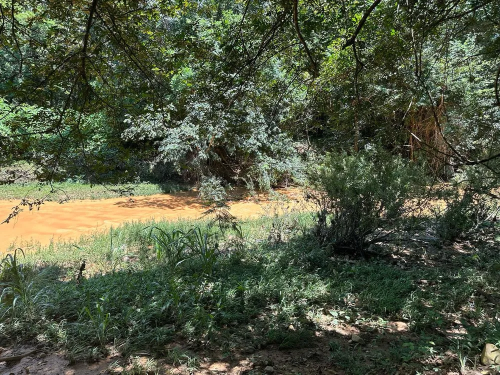 Fazenda, 1800 hectares - Foto 2