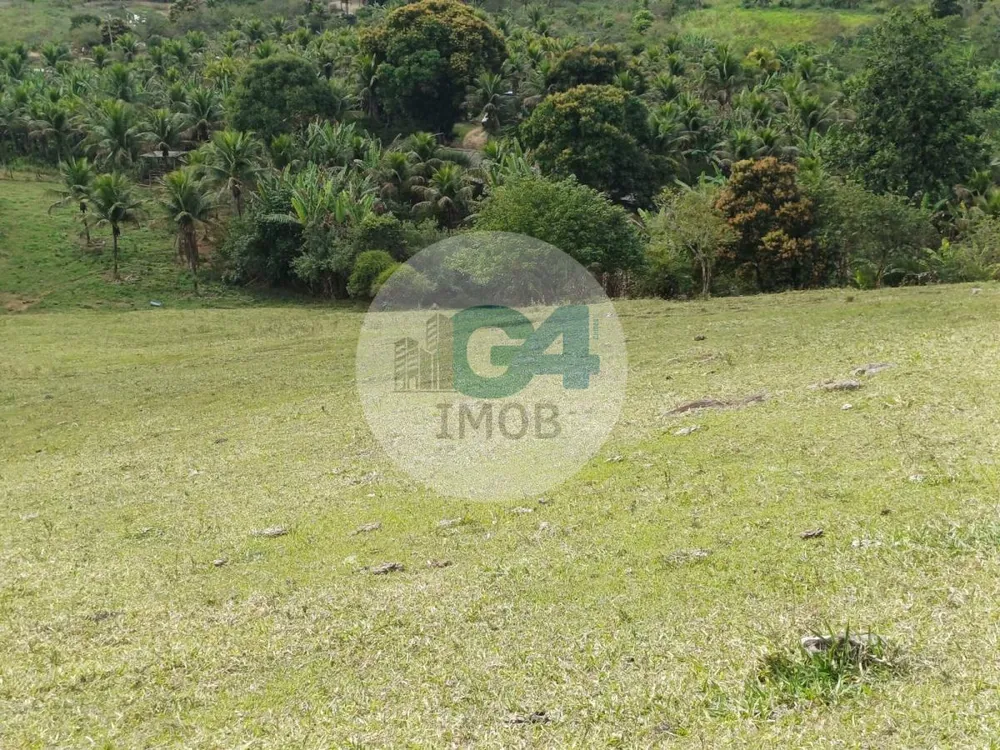 Chácara, 2 quartos, 19 hectares - Foto 10