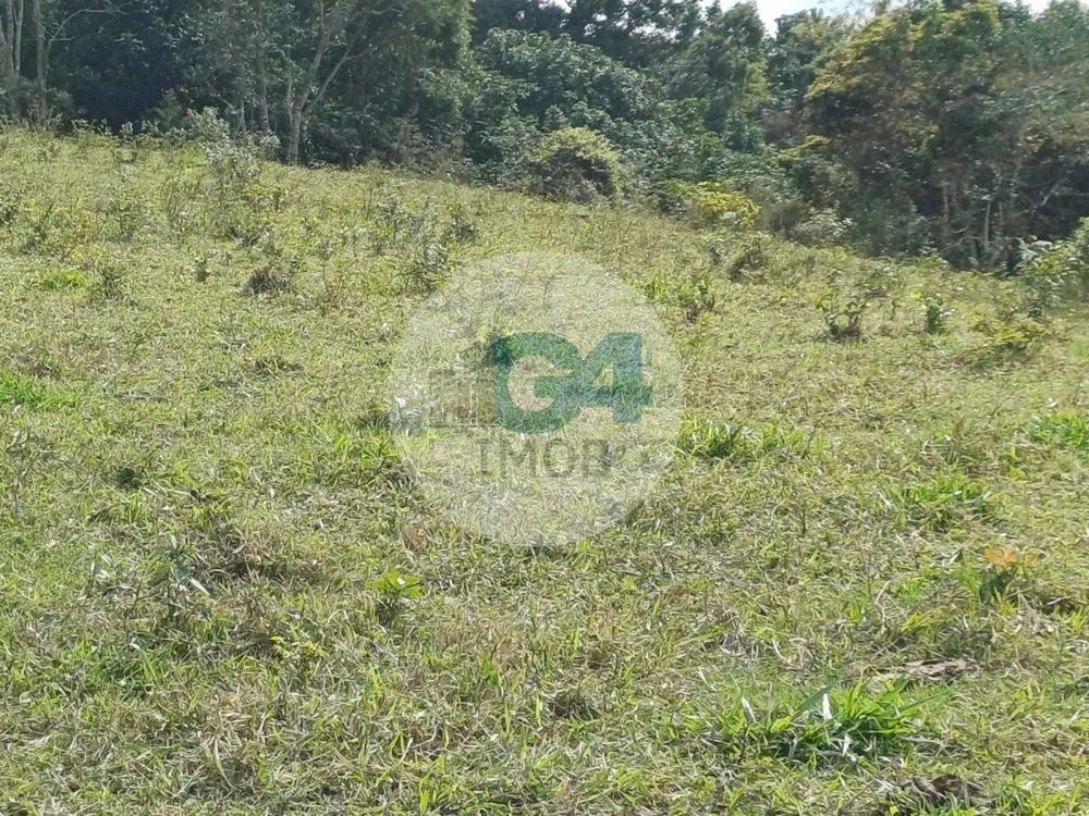 Chácara, 2 quartos, 19 hectares - Foto 15