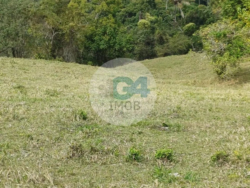 Chácara, 2 quartos, 19 hectares - Foto 4