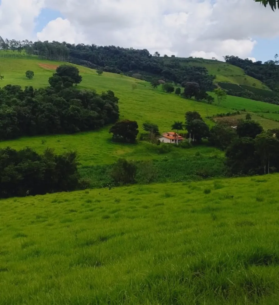 Fazenda, 724 hectares - Foto 1
