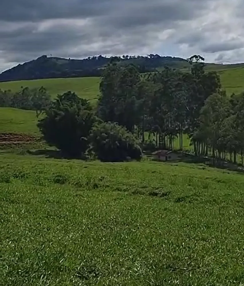 Fazenda, 724 hectares - Foto 13