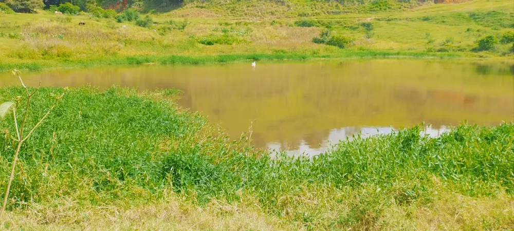Fazenda, 724 hectares - Foto 10