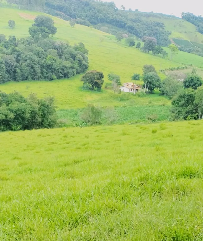 Fazenda, 724 hectares - Foto 2