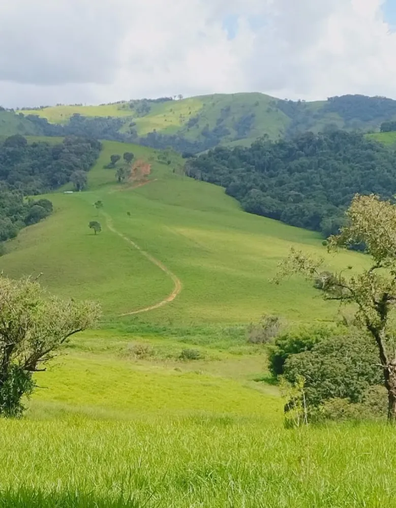 Fazenda, 724 hectares - Foto 9