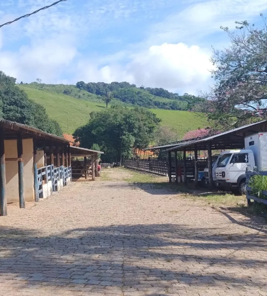 Fazenda, 724 hectares - Foto 12