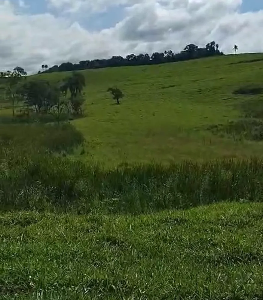 Fazenda, 724 hectares - Foto 8