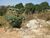 Terreno, 360 m² - Foto 2
