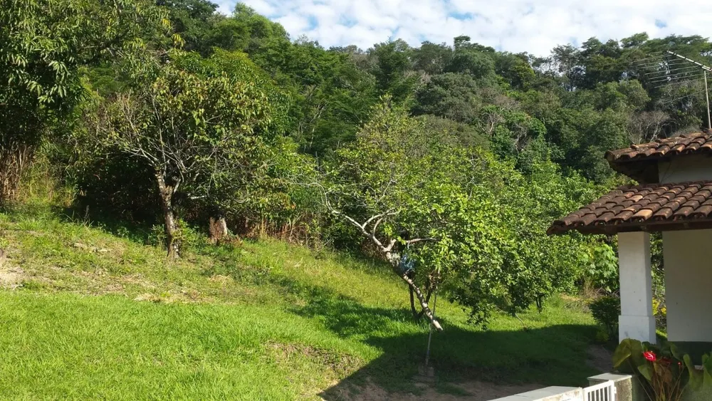 Terreno, 5 hectares - Foto 8