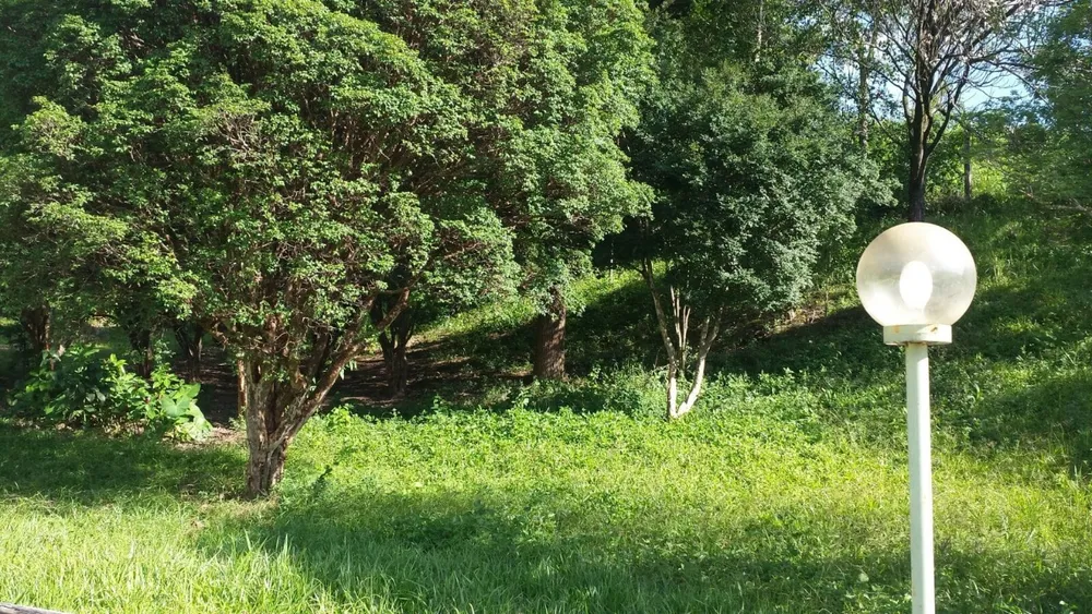 Terreno, 5 hectares - Foto 5
