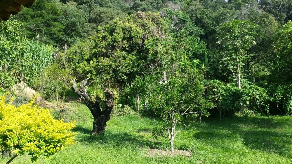 Terreno, 5 hectares - Foto 4