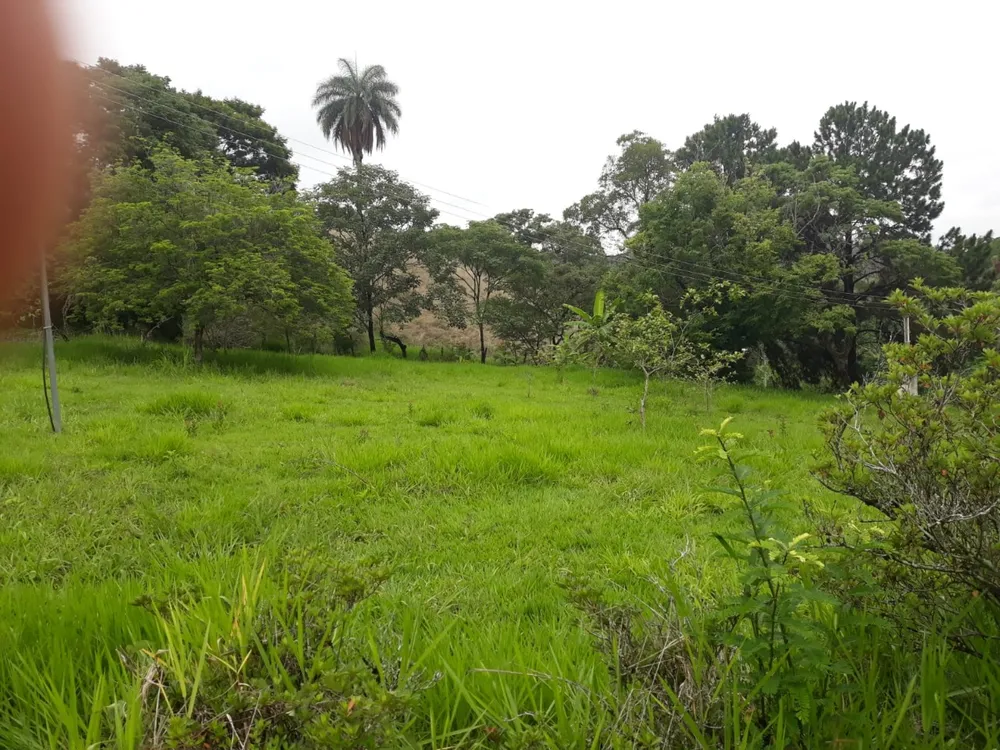 Terreno, 5 hectares - Foto 15
