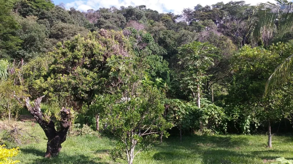 Terreno, 5 hectares - Foto 9