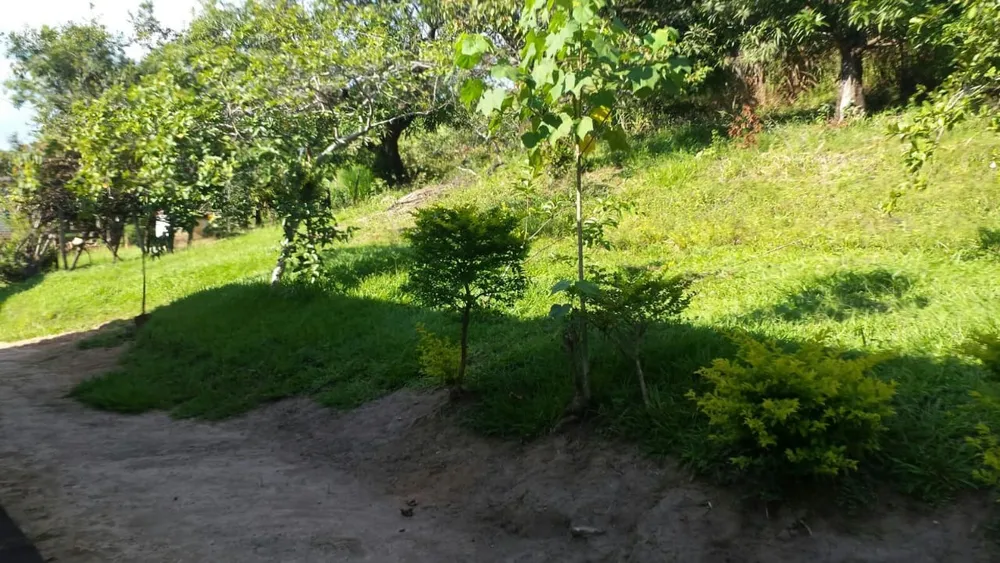 Terreno, 5 hectares - Foto 16