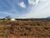 Terreno, 360 m² - Foto 2