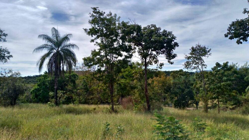 Terreno à venda, 3000m² - Foto 2
