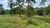 Terreno, 3000 m² - Foto 3