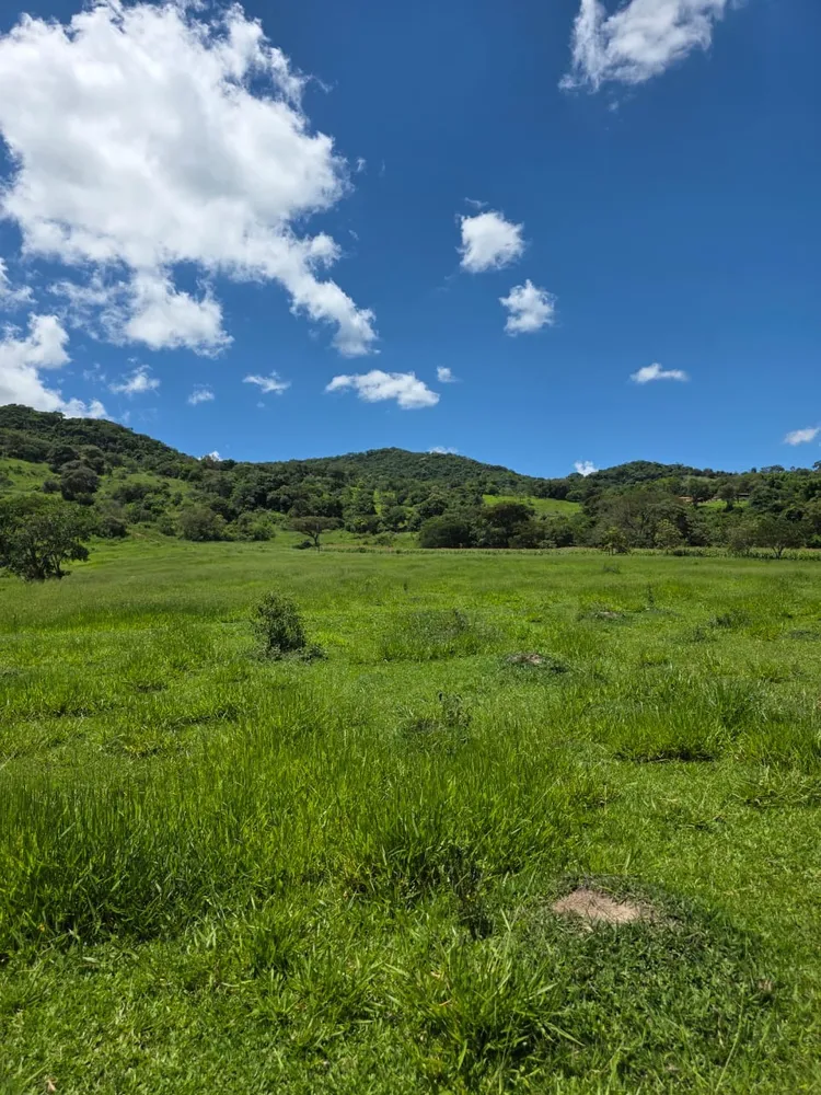 Terreno, 6 hectares - Foto 7