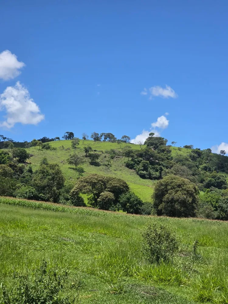 Terreno, 6 hectares - Foto 12