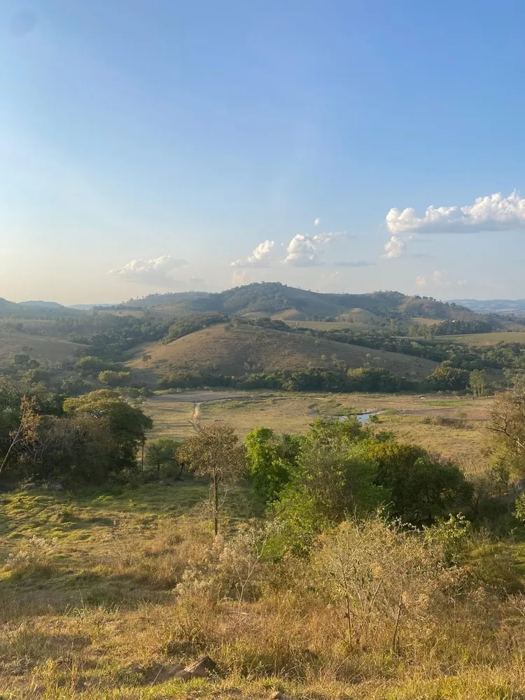 Terreno, 6 hectares - Foto 2