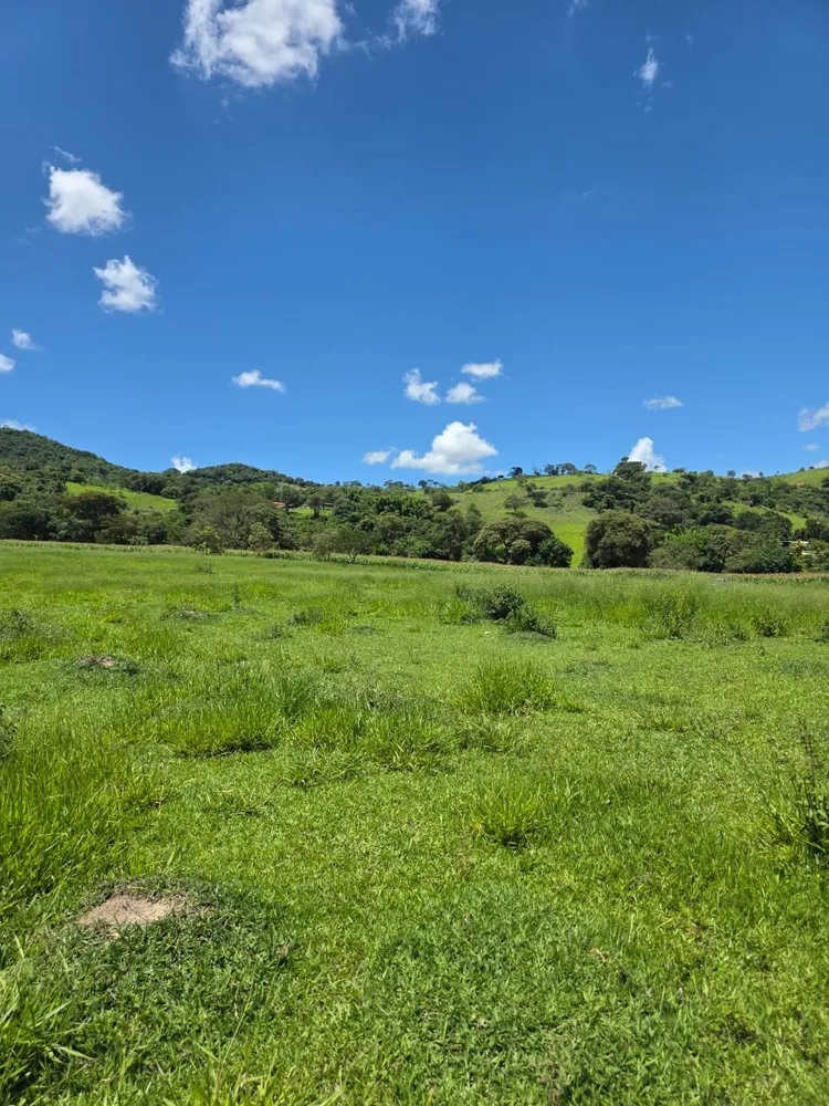Terreno, 6 hectares - Foto 8