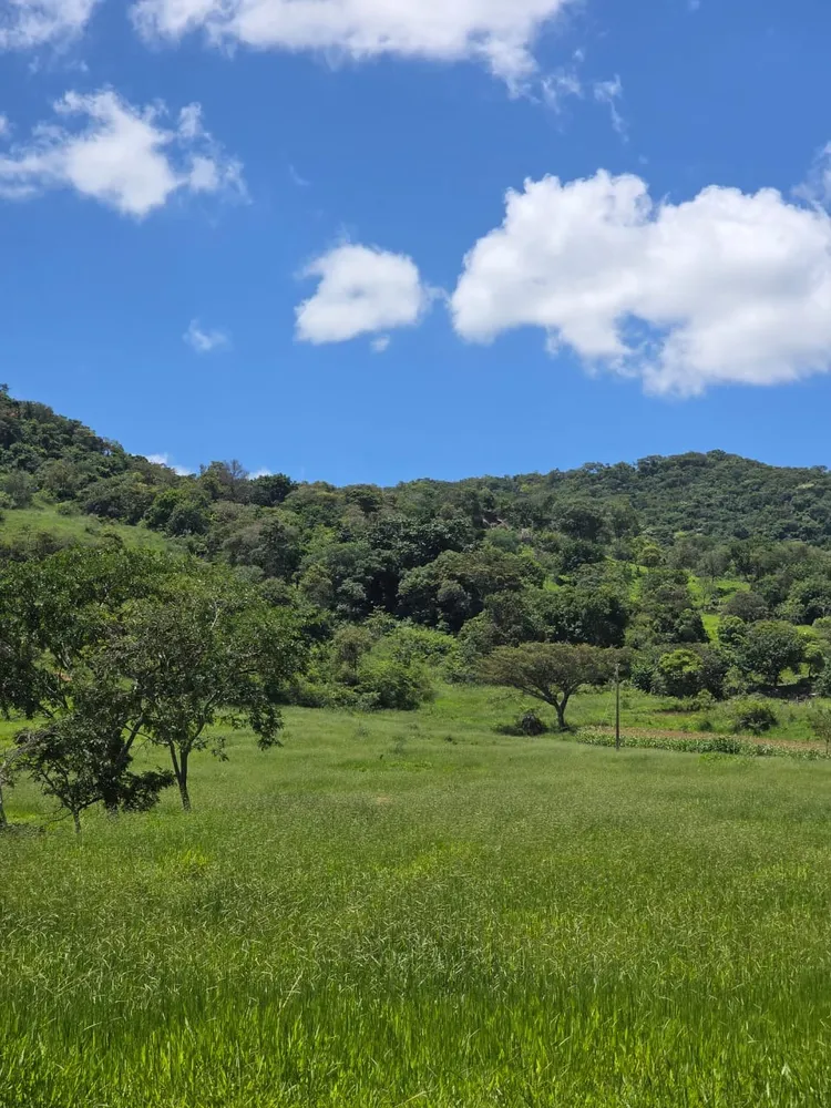Terreno, 6 hectares - Foto 6