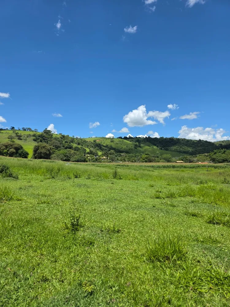 Terreno, 6 hectares - Foto 11