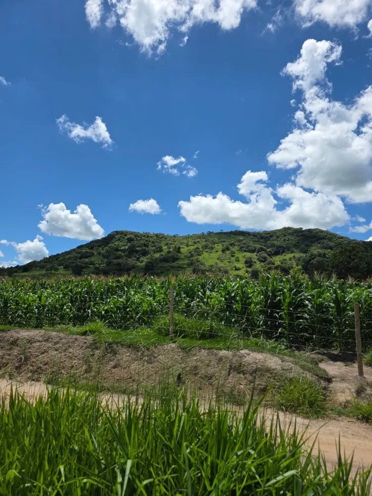 Terreno, 6 hectares - Foto 10