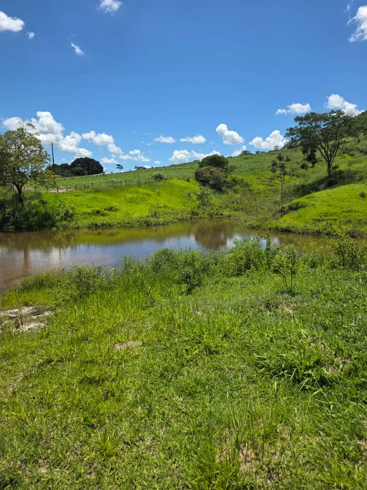 Terreno, 6 hectares - Foto 4