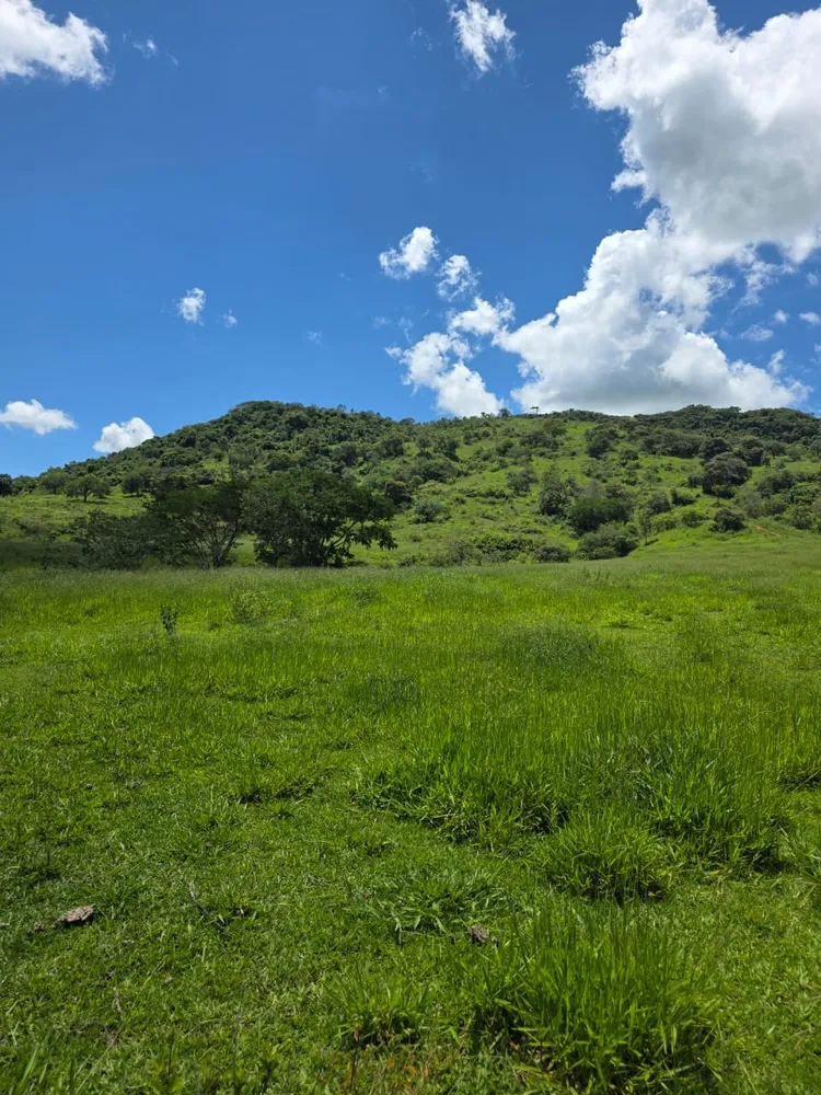 Terreno, 6 hectares - Foto 9