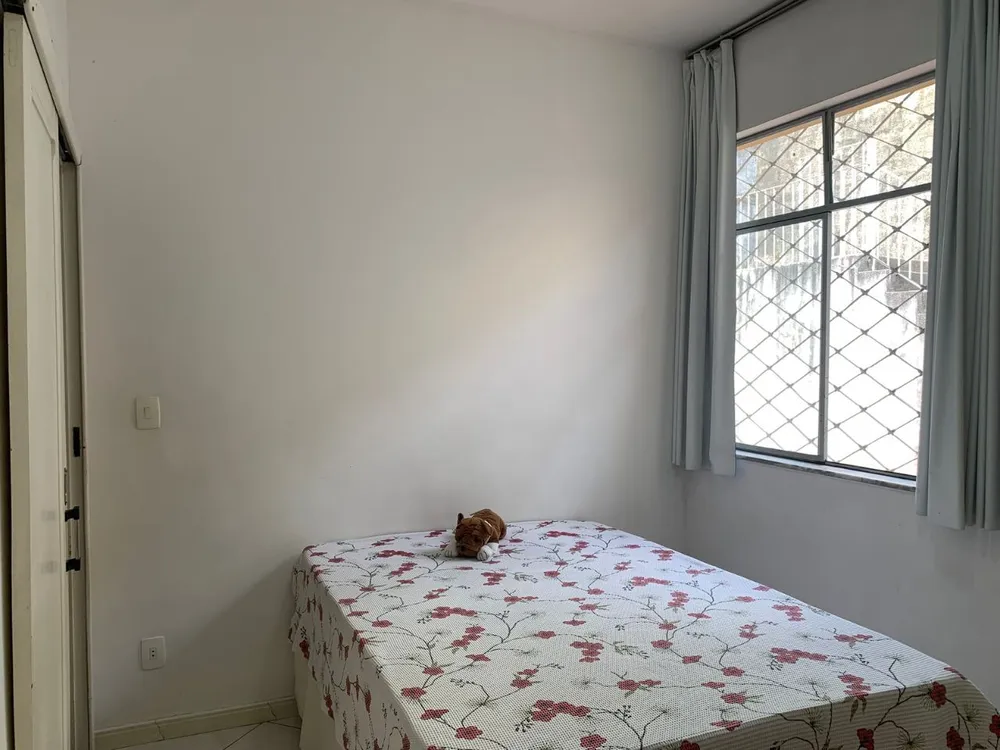 Casa, 4 quartos, 480 m² - Foto 5