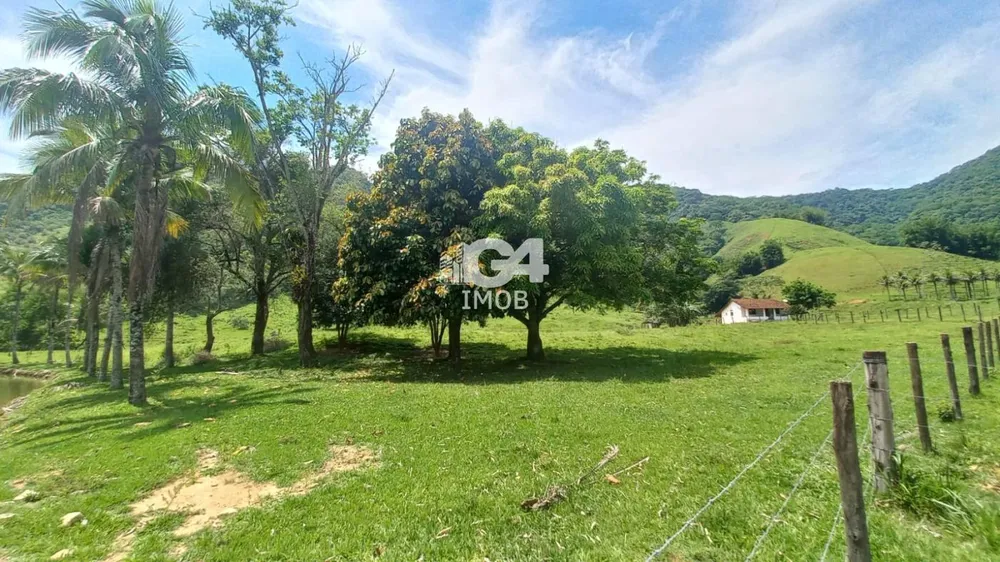 Chácara, 3 quartos, 50 m² - Foto 4