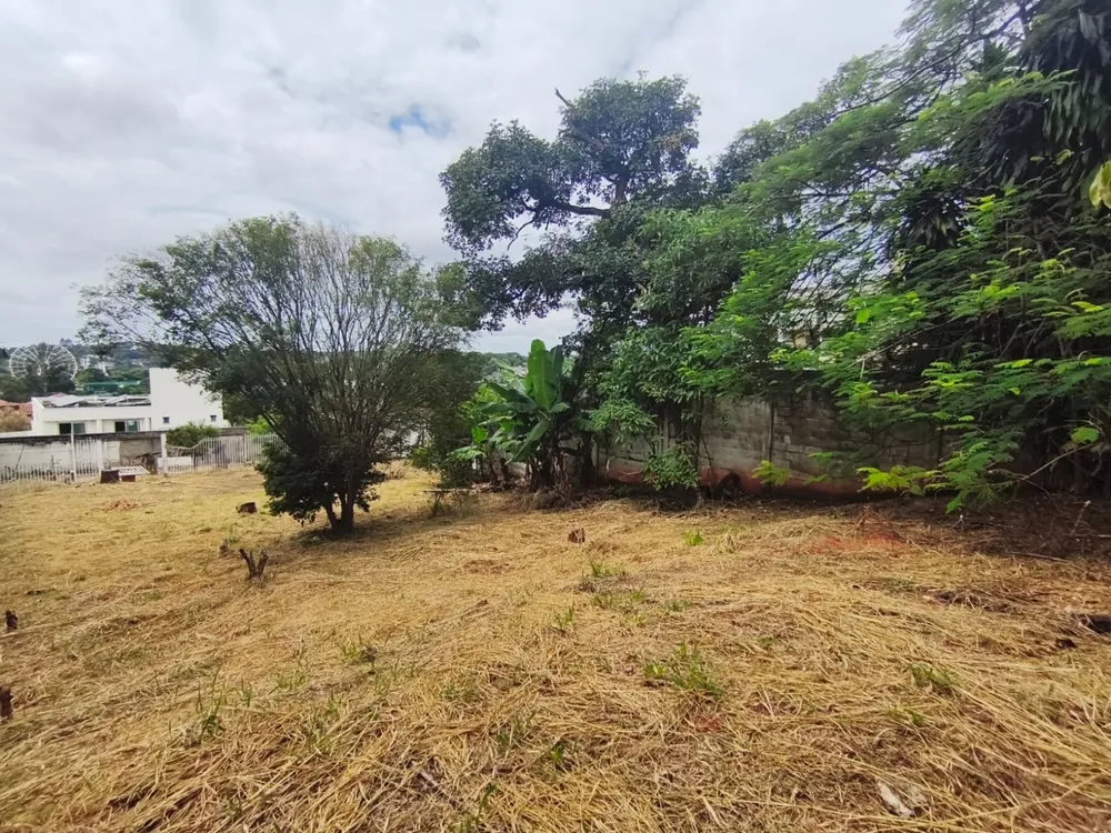 Terreno, 1023 m² - Foto 4