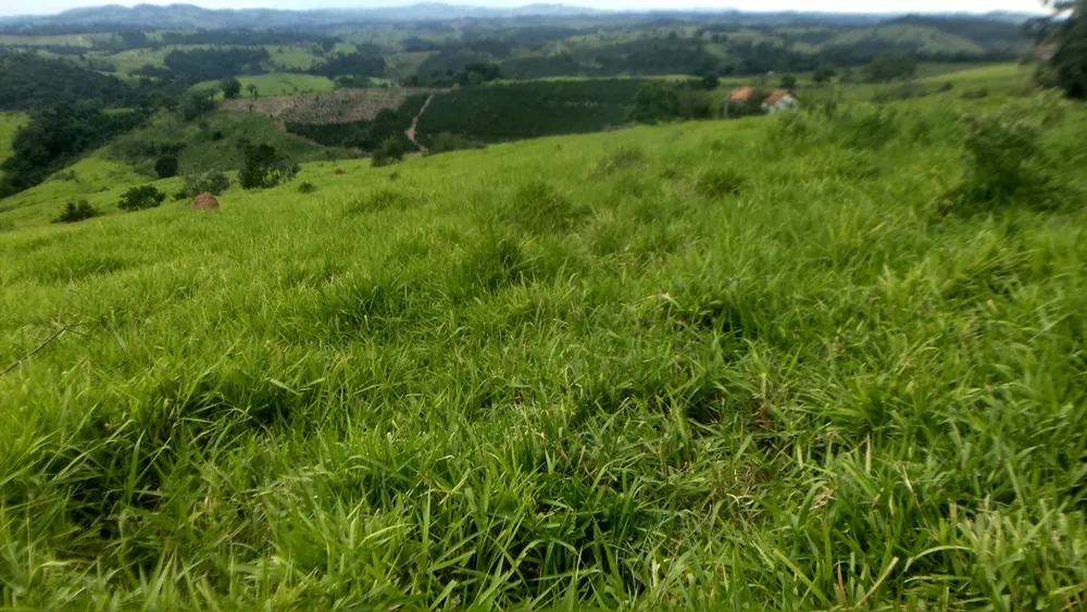 Fazenda, 1 quarto - Foto 7