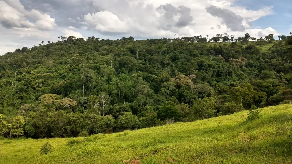 Fazenda, 1 quarto - Foto 15