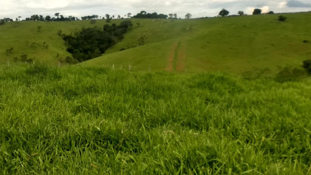 Fazenda, 1 quarto - Foto 6