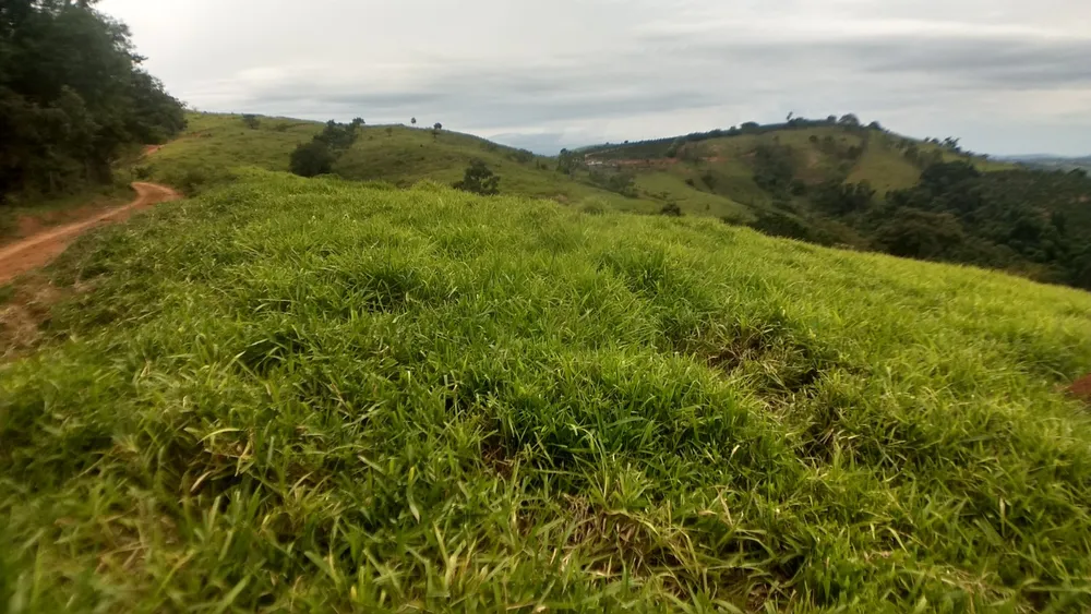 Fazenda, 1 quarto - Foto 5