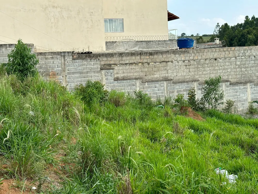 Terreno, 250 m² - Foto 3